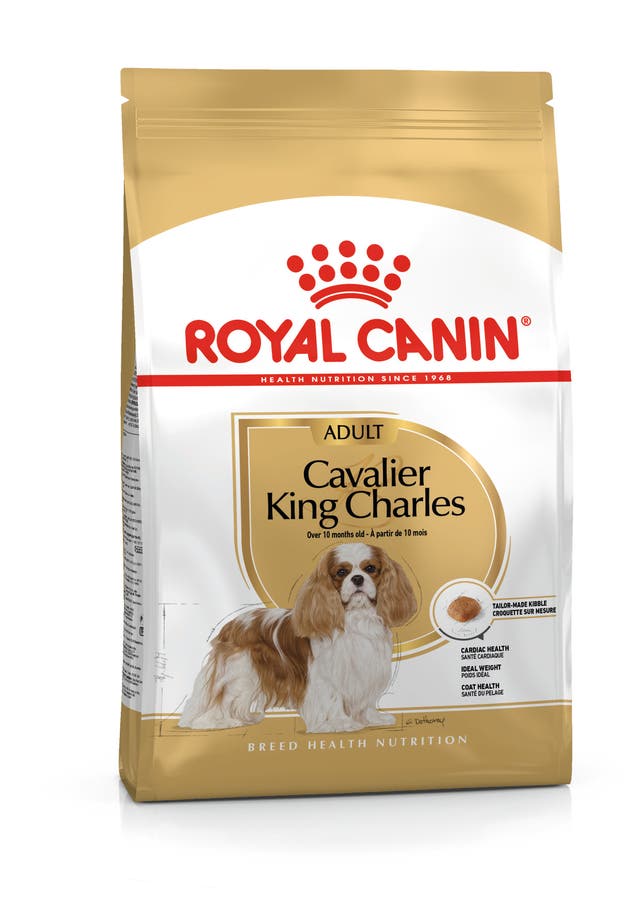 ROYAL CANİN CAVALİER KİNG CHARLES 27 YETİŞKİN KÖPEK MAMASI 3 KG