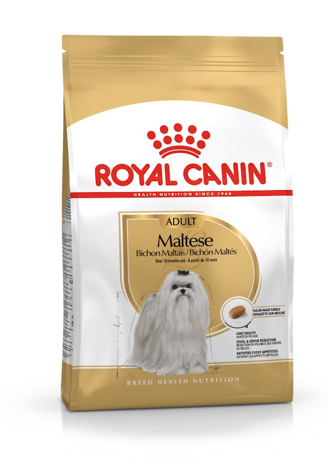 ROYAL CANİN MALTESE BİCHON MALTAİS YETİŞKİN KÖPEK MAMASI 1.5 KG