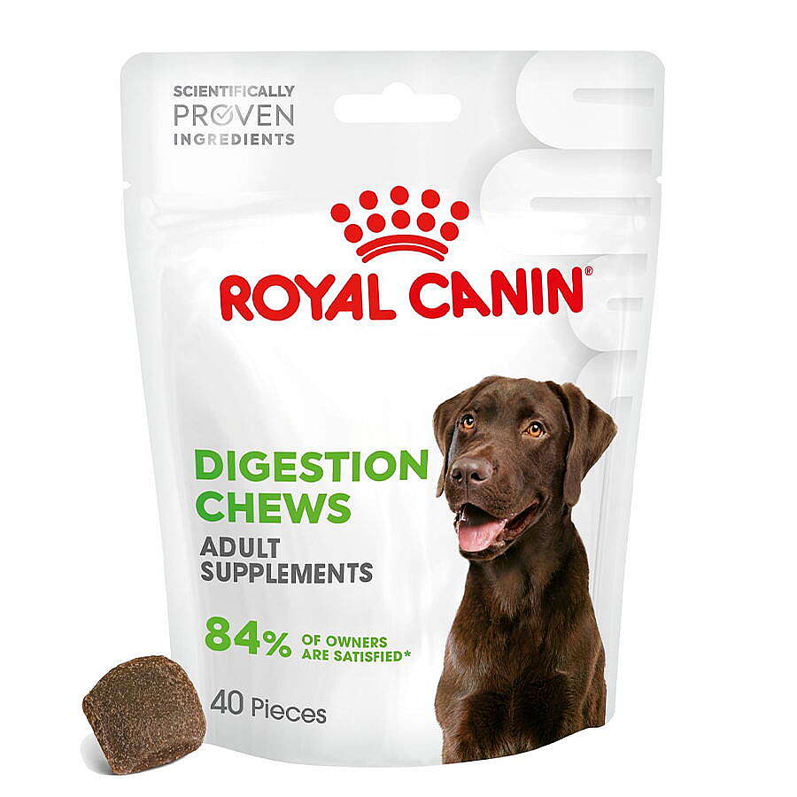 ROYAL CANİN SİNDİRİM SİSTEMİ DESTEKLİ YETİŞKİN KÖPEK ÖDÜL MAMASI 160GR