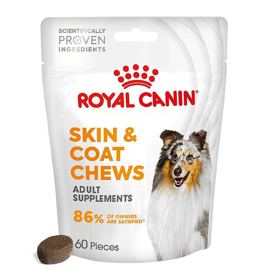 ROYAL CANİN DERİ VE TÜY SAĞLIĞI DESTEKLEYİCİ YETİŞKİN KÖPEK ÖDÜL MAMASI 240GR