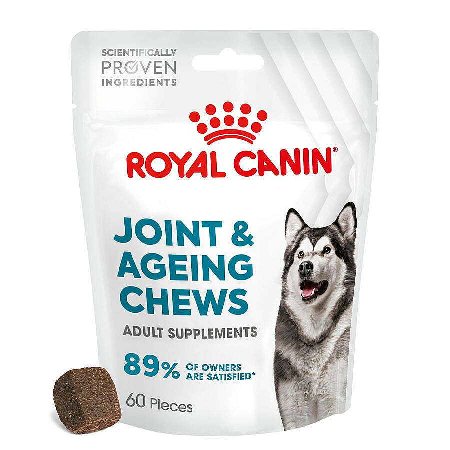 ROYAL CANİN EKLEM VE SAĞLIKLI YAŞLANMA DESTEKLİ YETİŞKİN KÖPEK ÖDÜL MAMASI 240GR