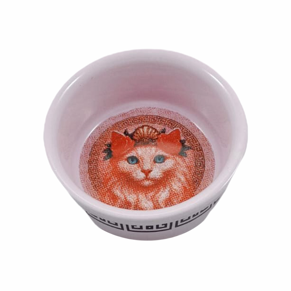RACCOON OLİMPOS AFRODİT SERAMİK 300 ML