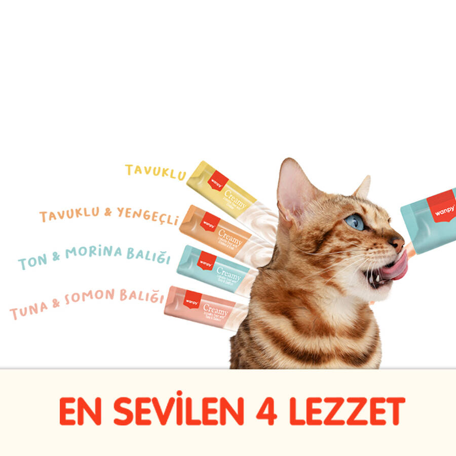 WANPY KARIŞIK 4 LEZZET 100 LÜ KREMA KEDİ ÖDÜLÜ 100-14 GR