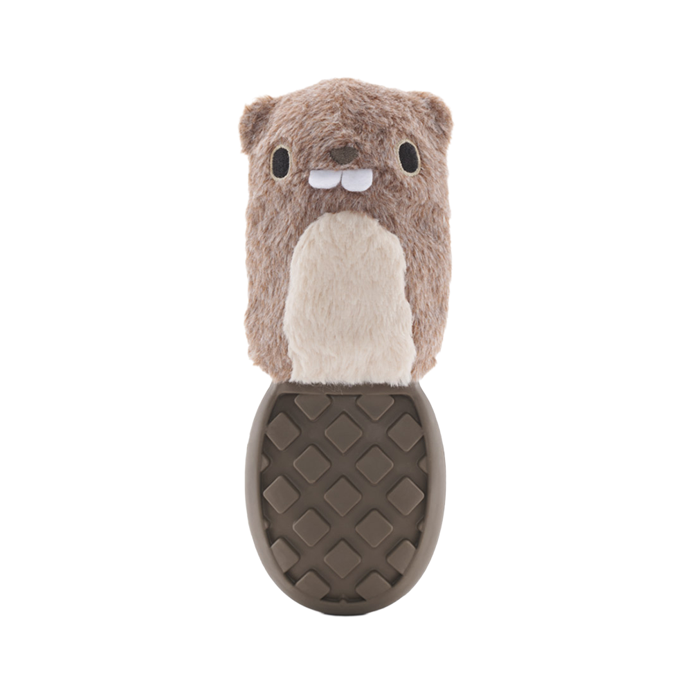 BARK - BEAVER - KUNDUZ - ÇİĞNEME