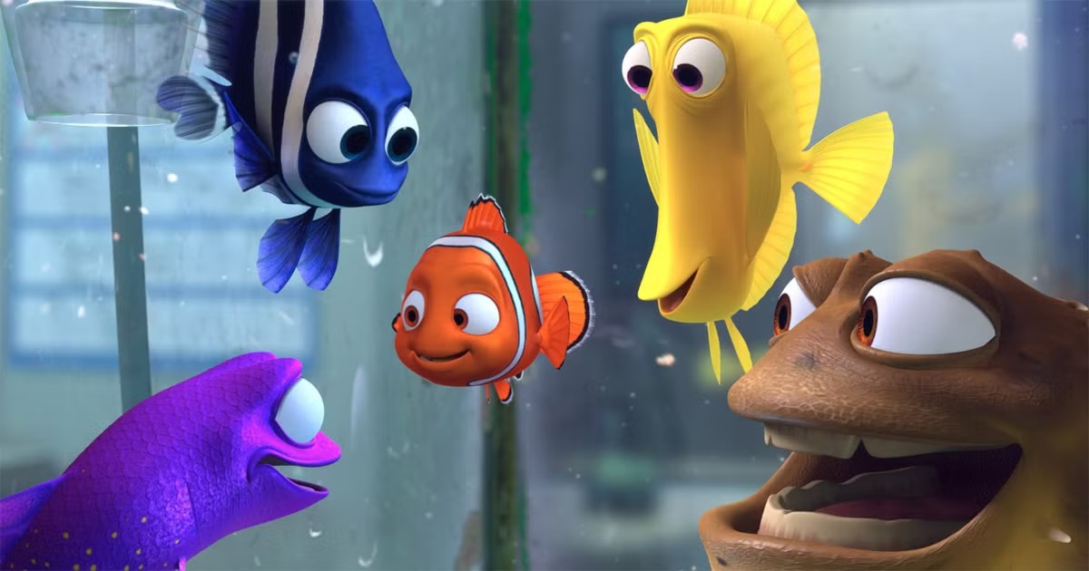 PET CİTY BALIK NEMO
