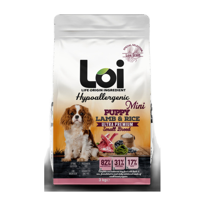 LOI MİNİ IRK YAVRU KÖPEK - KUZULU  - 3 KG