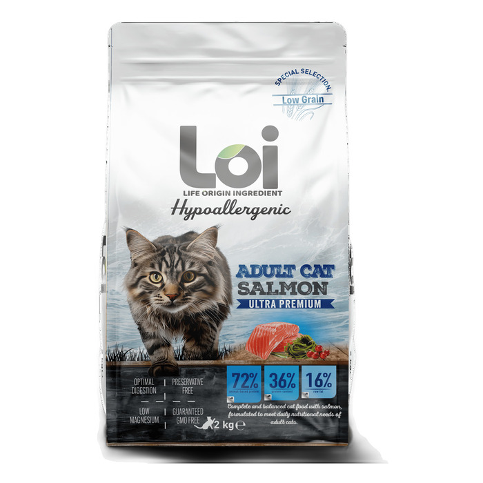 LOI YETİŞKİN KEDİ - SOMONLU - 2 KG
