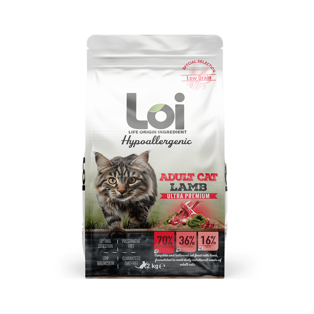 LOİ ADULT CAT LAMB 2 KG