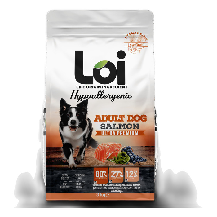 LOI YETİŞKİN KÖPEK - SOMONLU - 3 KG