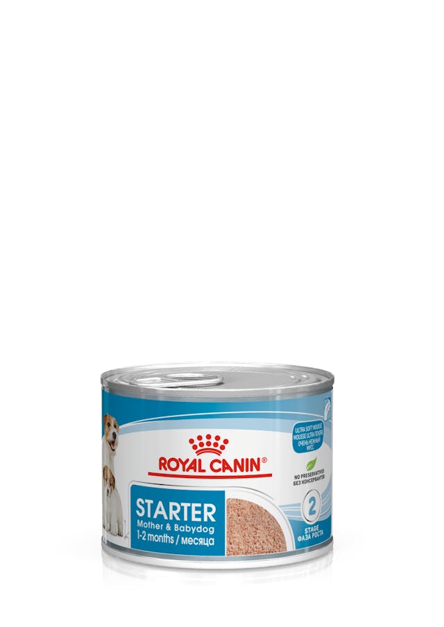 Royal Canin Starter Anne & Bebek Köpek Konserve Maması (195 g)