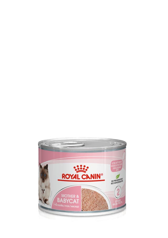 Royal Canin Anne & Bebek Kedi Konserve Maması (195 g)