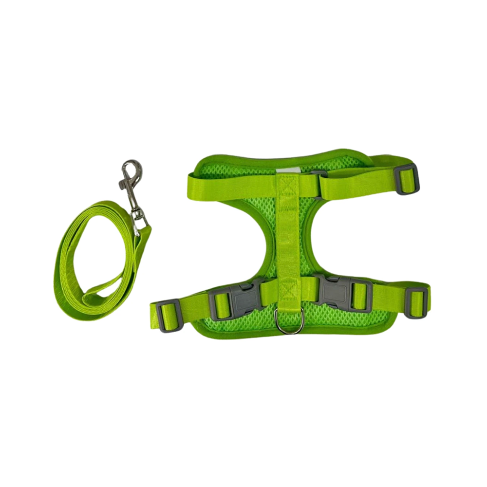 Buddy&Co Zero Yeşil Göğüs Tasması (XS)