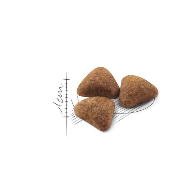 Alternative view of Royal Canin Indoor 27 Home Life Yetişkin Kedi Maması (2 kg)