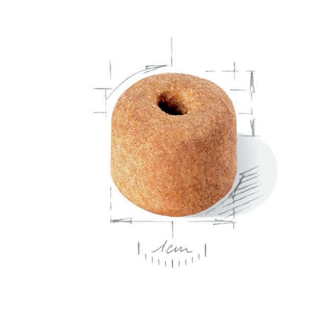 Alternative view of BHN LABRADOR ADULT 12K