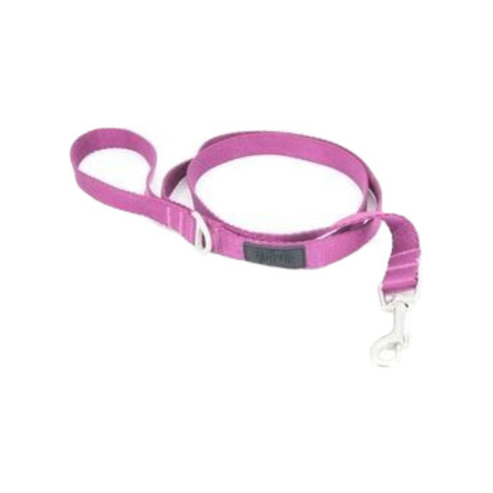 Tailpetz Mor Köpek Gezdirme Tasması (M)
