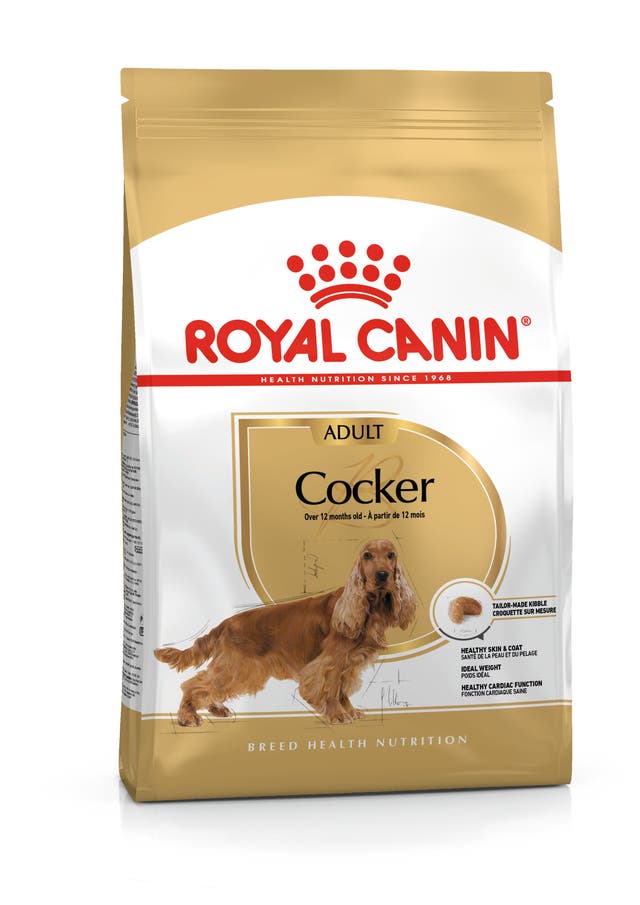 Royal Canin Cocker Yetişkin Köpek Maması (3 kg)