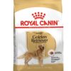 ROYAL CANİN ADULT GOLDEN RETRİEVER ÖZEL KÖPEK MAMASI 12 KG