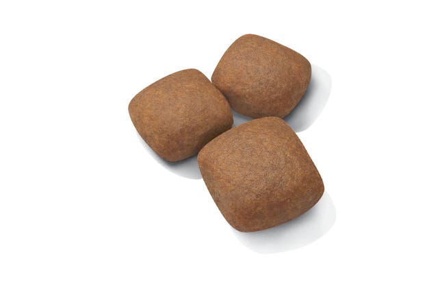 Alternative view of Royal Canin Giant Junior İri Irk Yavru Köpek Maması (15 kg)