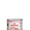 Royal Canin Anne & Bebek Kedi Konserve Maması (195 g)