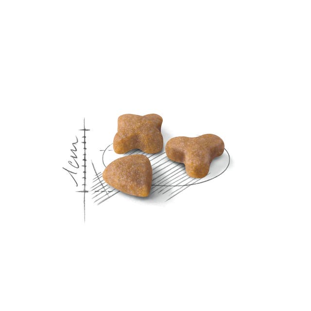 Alternative view of Royal Canin Regular Sensible 33 Hassas Sindirim Sistemi Yetişkin Kedi Maması (4 kg)