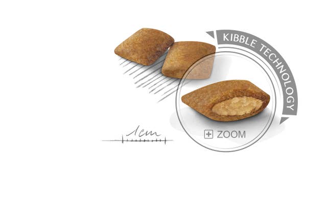 Alternative view of Royal Canin Exigent Küçük Irk Yetişkin Köpek Maması (3 kg)