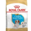 Royal Canin Cavalier King Charles Yavru Köpek Maması (1,5 kg)