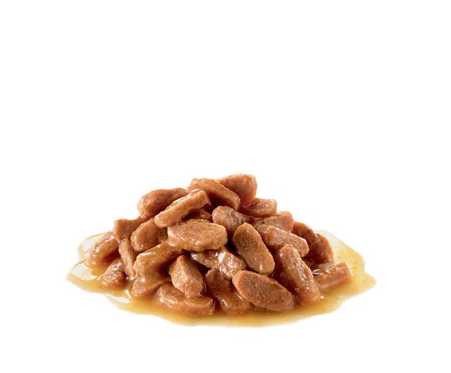 Alternative view of Royal Canin Gravy Kısırlaştırılmış Yetişkin Kedi Pouch Yaş Mama (85 g)