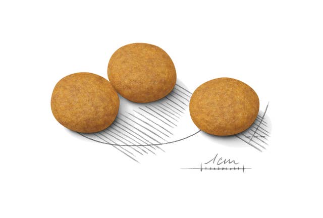 Alternative view of Royal Canin Dermacomfort Yetişkin Köpek Maması (12 kg)