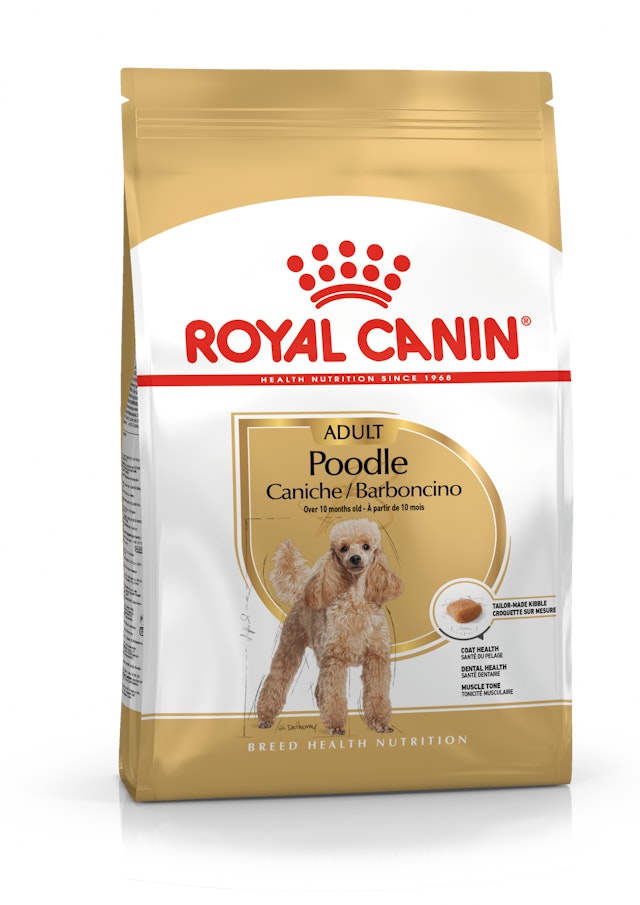 Royal Canin Poodle Yetişkin Köpek Maması (3 kg)