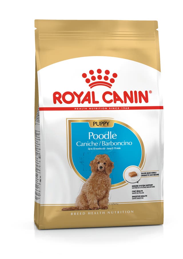 Royal Canin Poodle Yavru Köpek Maması (3 kg)