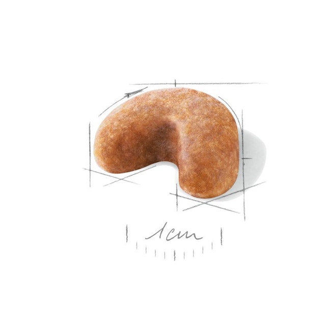 Alternative view of Royal Canin French Bulldog Yavru Köpek Maması (3 kg)