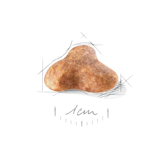 Alternative view of Royal Canin Pug Yetişkin Köpek Maması (1,5 kg)