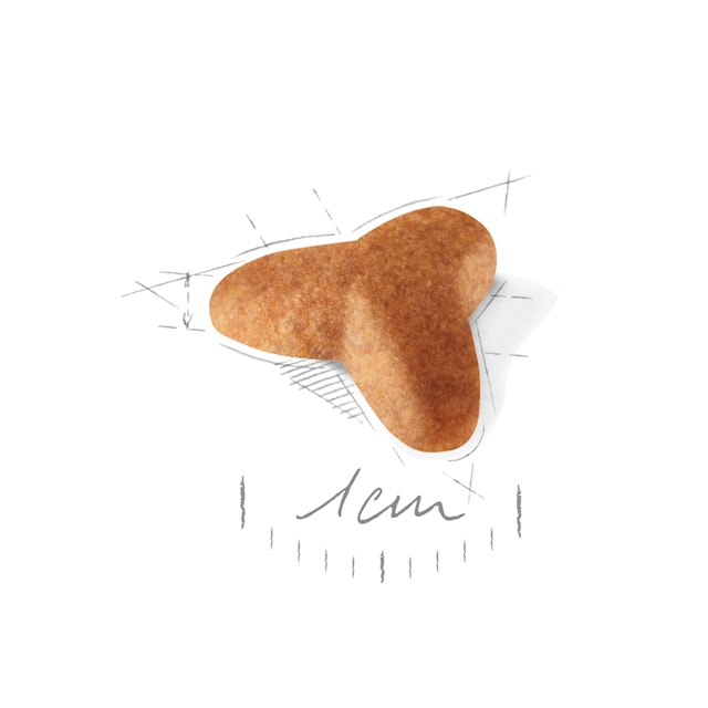 Alternative view of Royal Canin Pug Yavru Köpek Maması (1,5 kg)