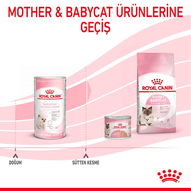 Alternative view of Royal Canin Yavru Kedi Süt Tozu (300 g)
