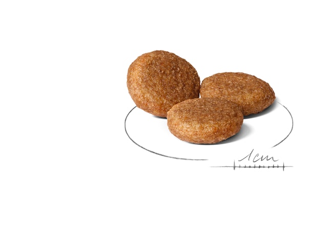 Alternative view of Royal Canin Orta Irk Yetişkin Köpek Maması (15 kg)