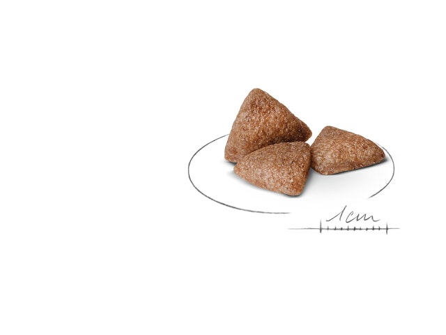 Alternative view of Royal Canin Mini İndoor Yetişkin Köpek Maması (1,5 kg)
