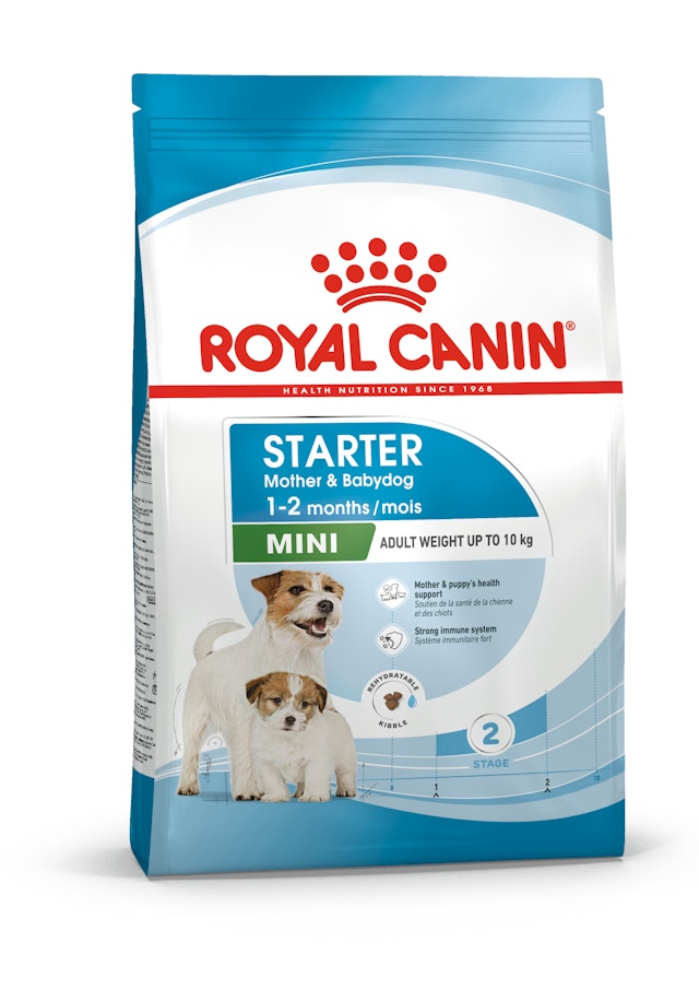 Royal Canin Mini Starter Anne ve Bebek Küçük Irk Yavru Köpek Maması (4 kg)